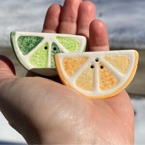 Lemon Orange Lime Citrus Fruit Salt and Pepper Shakers